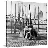 1956 Winter Olympic Game-Bosher-Stretched Canvas