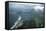 1957: Aerial View of Rio De Janeiro, Brazil-Dmitri Kessel-Framed Stretched Canvas