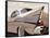 1957 Bel Air-Francis Brook-Framed Stretched Canvas