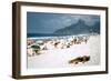 1957: Copacabana Beach, Rio De Janeiro, Brazil-Dmitri Kessel-Framed Photographic Print