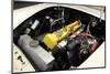 1957 Lotus Elite-null-Mounted Photographic Print