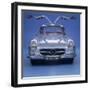 1957 Mercedes Benz 300 SL Gullwing-null-Framed Photographic Print