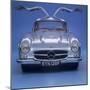 1957 Mercedes Benz 300 SL Gullwing-null-Mounted Photographic Print