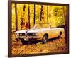 1957 Plymouth Barracuda Conv.-null-Framed Premium Giclee Print