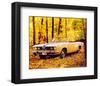 1957 Plymouth Barracuda Conv.-null-Framed Art Print