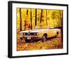 1957 Plymouth Barracuda Conv.-null-Framed Art Print