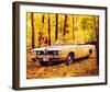 1957 Plymouth Barracuda Conv.-null-Framed Art Print