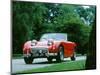 1958 Austin Healey Sprite-null-Mounted Photographic Print