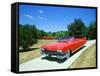 1959 Cadillac Series 62-null-Framed Stretched Canvas