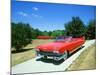 1959 Cadillac Series 62-null-Mounted Photographic Print