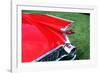 1959 Cadillac Tail Fin and Tail Light-null-Framed Photographic Print