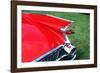 1959 Cadillac Tail Fin and Tail Light-null-Framed Photographic Print