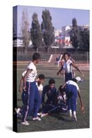 1960: Tennessee State University's "Tigerbelles"-James Whitmore-Stretched Canvas