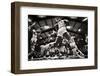 1960s 1970s COLLEGIATE BASKETBALL GAME PLAYERS UNDER THE HOOP SHOOTING TO SCORE EXTREME LOW ANGL...-H. Armstrong Roberts-Framed Photographic Print