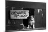 1960s COLLIE DOG PUPPY SITTING IN DOOR OF DOGHOUSE BEWARE OF DOG SIGN-H. Armstrong Roberts-Mounted Photographic Print