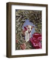 1960s PUPPY DOG WEARING MERRY CHRISTMAS TAG INSIDE HOLIDAY PINE WREATH-Panoramic Images-Framed Photographic Print