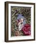 1960s PUPPY DOG WEARING MERRY CHRISTMAS TAG INSIDE HOLIDAY PINE WREATH-Panoramic Images-Framed Photographic Print