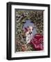 1960s PUPPY DOG WEARING MERRY CHRISTMAS TAG INSIDE HOLIDAY PINE WREATH-Panoramic Images-Framed Photographic Print