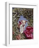 1960s PUPPY DOG WEARING MERRY CHRISTMAS TAG INSIDE HOLIDAY PINE WREATH-Panoramic Images-Framed Photographic Print