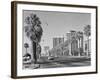 1960s Rows of Palm Trees Central Avenue Phoenix AZ-null-Framed Photographic Print