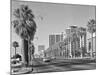 1960s Rows of Palm Trees Central Avenue Phoenix AZ-null-Mounted Photographic Print