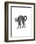 1960s Side View of Kitten Stretching Out with Arched Back-null-Framed Photographic Print