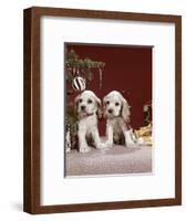 1960s TWO COCKER SPANIEL PUPPIES SITTING NEXT TO CHRISTMAS TREE-Panoramic Images-Framed Photographic Print