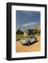 1961 Aston Martin DB4 GT-null-Framed Photographic Print