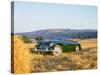 1961 Austin Healey 3000 Mk1-null-Stretched Canvas