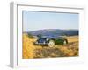 1961 Austin Healey 3000 Mk1-null-Framed Photographic Print