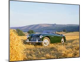 1961 Austin Healey 3000 Mk1-null-Mounted Photographic Print
