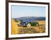 1961 Austin Healey 3000 Mk1-null-Framed Photographic Print