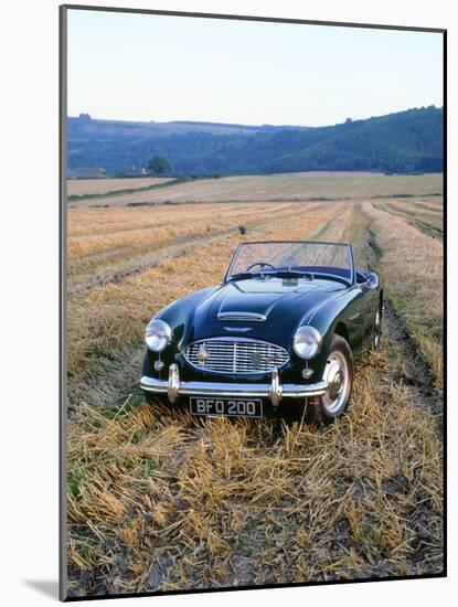 1961 Austin Healey 3000 mk1-null-Mounted Photographic Print