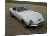1962 Jaguar E Type 3.8-null-Mounted Photographic Print