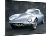1962 Lotus Elite Car-null-Mounted Photographic Print