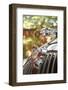 1963 Jaguar Mk2 3.5-null-Framed Photographic Print