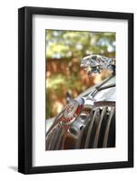 1963 Jaguar Mk2 3.5-null-Framed Photographic Print