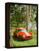 1964 AC Cobra Le Mans-null-Framed Stretched Canvas