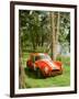 1964 AC Cobra Le Mans-null-Framed Photographic Print