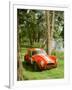 1964 AC Cobra Le Mans-null-Framed Photographic Print