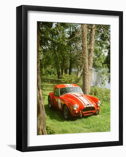 1964 AC Cobra Le Mans-null-Framed Photographic Print