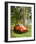 1964 AC Cobra Le Mans-null-Framed Photographic Print