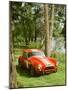 1964 AC Cobra Le Mans-null-Mounted Photographic Print