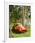 1964 AC Cobra Le Mans-null-Framed Photographic Print