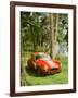 1964 AC Cobra Le Mans-null-Framed Photographic Print