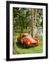 1964 AC Cobra Le Mans-null-Framed Photographic Print