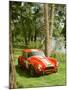 1964 AC Cobra Le Mans-null-Mounted Photographic Print