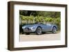 1964 AC Cobra MKII 289-null-Framed Photographic Print