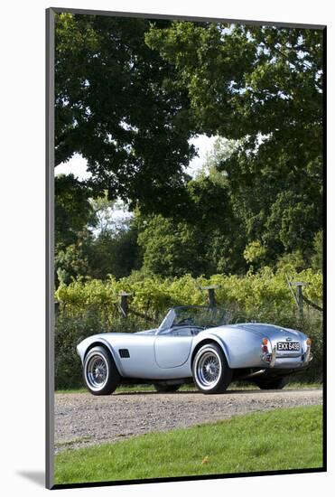 1964 AC Cobra MKII 289-null-Mounted Photographic Print