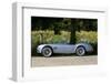 1964 AC Cobra MKII 289-null-Framed Photographic Print